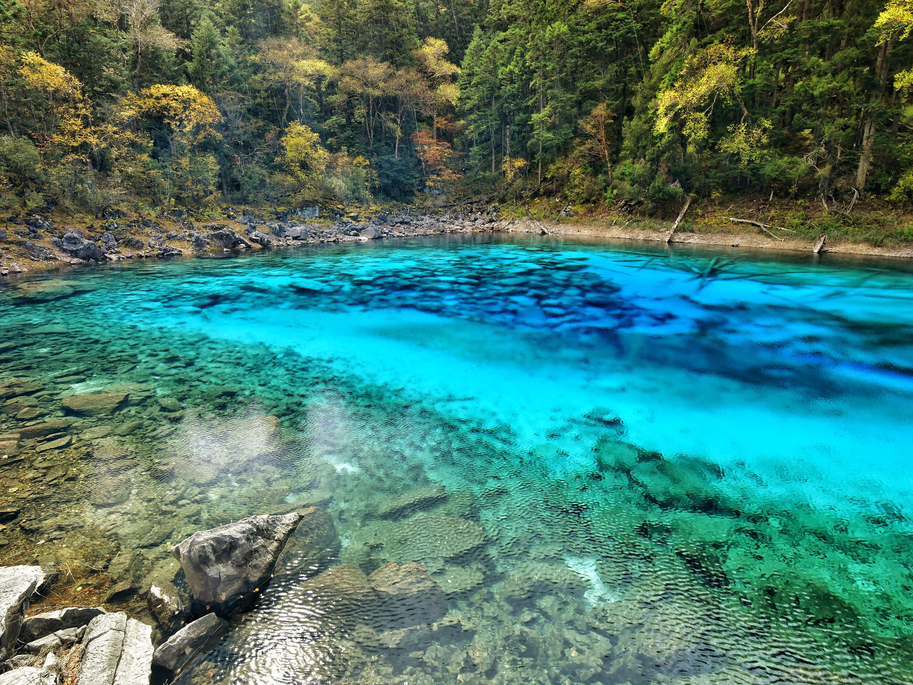 Un lago turquesa y transparente rodeado de colinas boscosas.