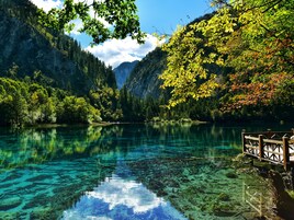 Vista desde la propiedad