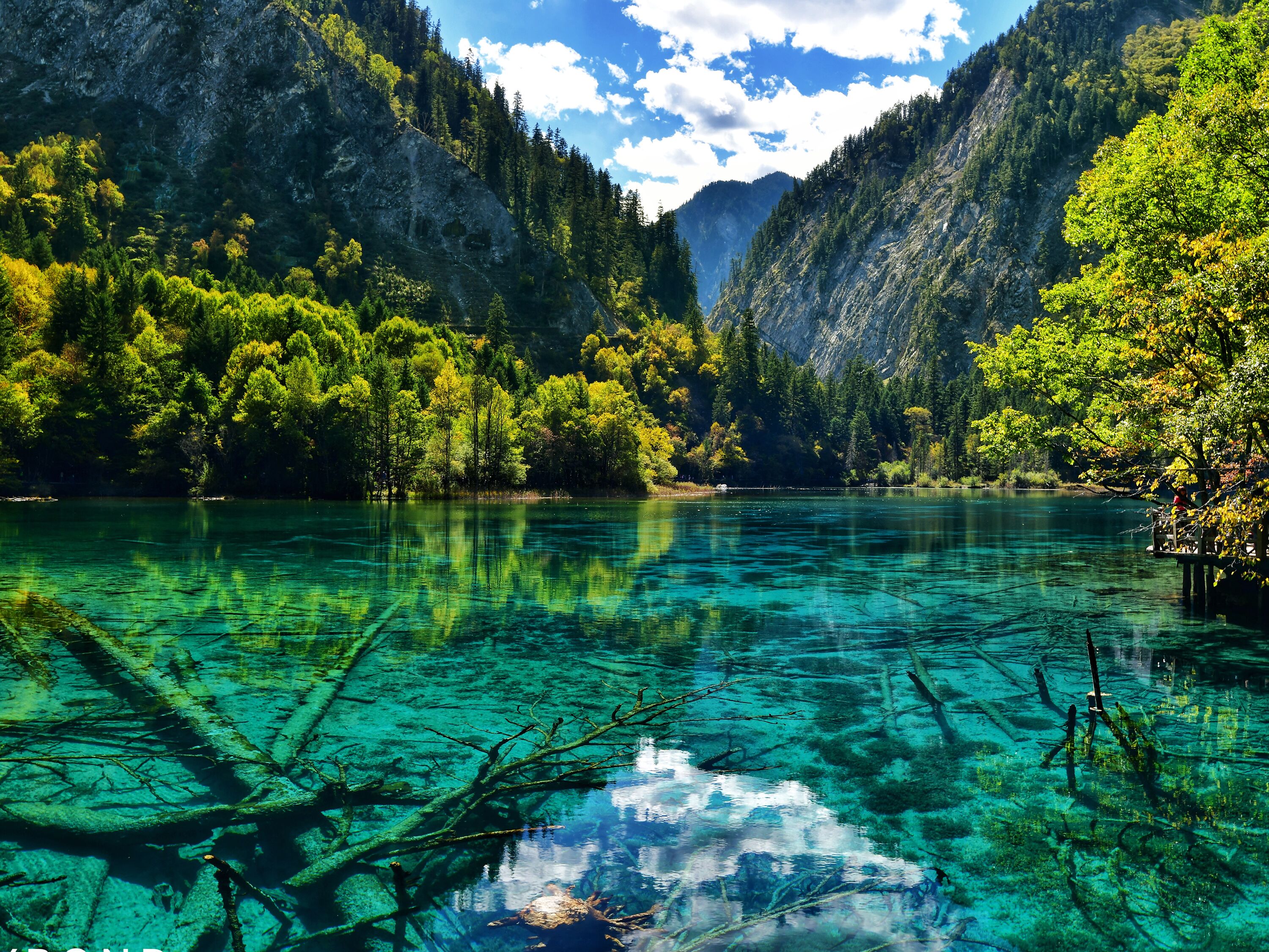 Un lac aux eaux limpides, entouré de montagnes boisées.