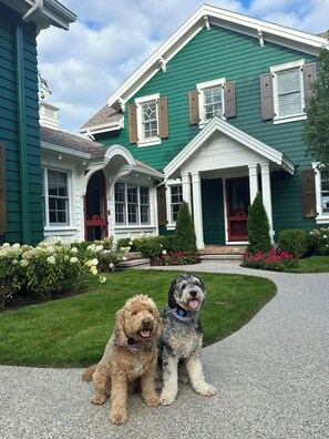 Terrein van de accommodatie