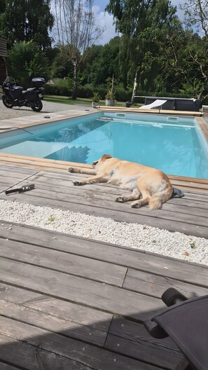 Pool - Guest House 'La Lizardiere Des Landes' with Shared Pool, Shared Garden and Wi-Fi (La Flèche)