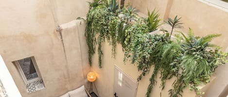 Khuôn viên nơi lưu trú