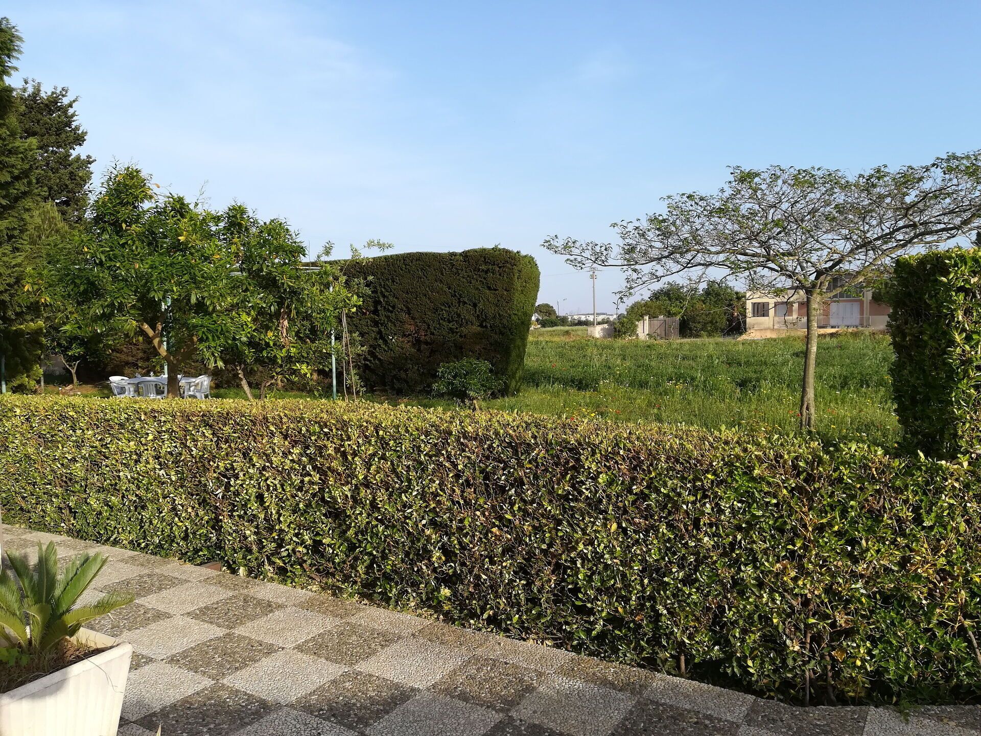 Parco della struttura