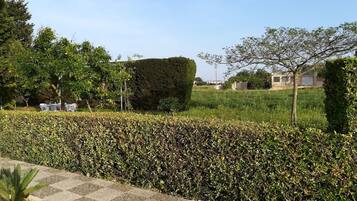 Parco della struttura