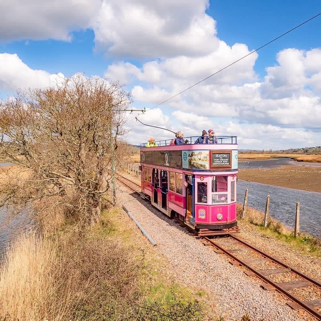 Un tramway rose, transportant des passagers, circule sur des rails le long d’une étendue d’eau.