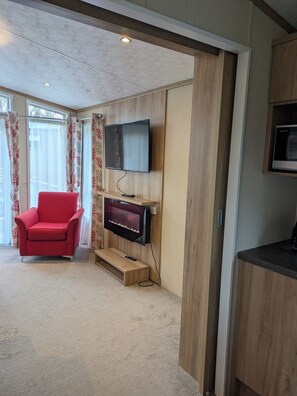 Smart TV, fireplace, books