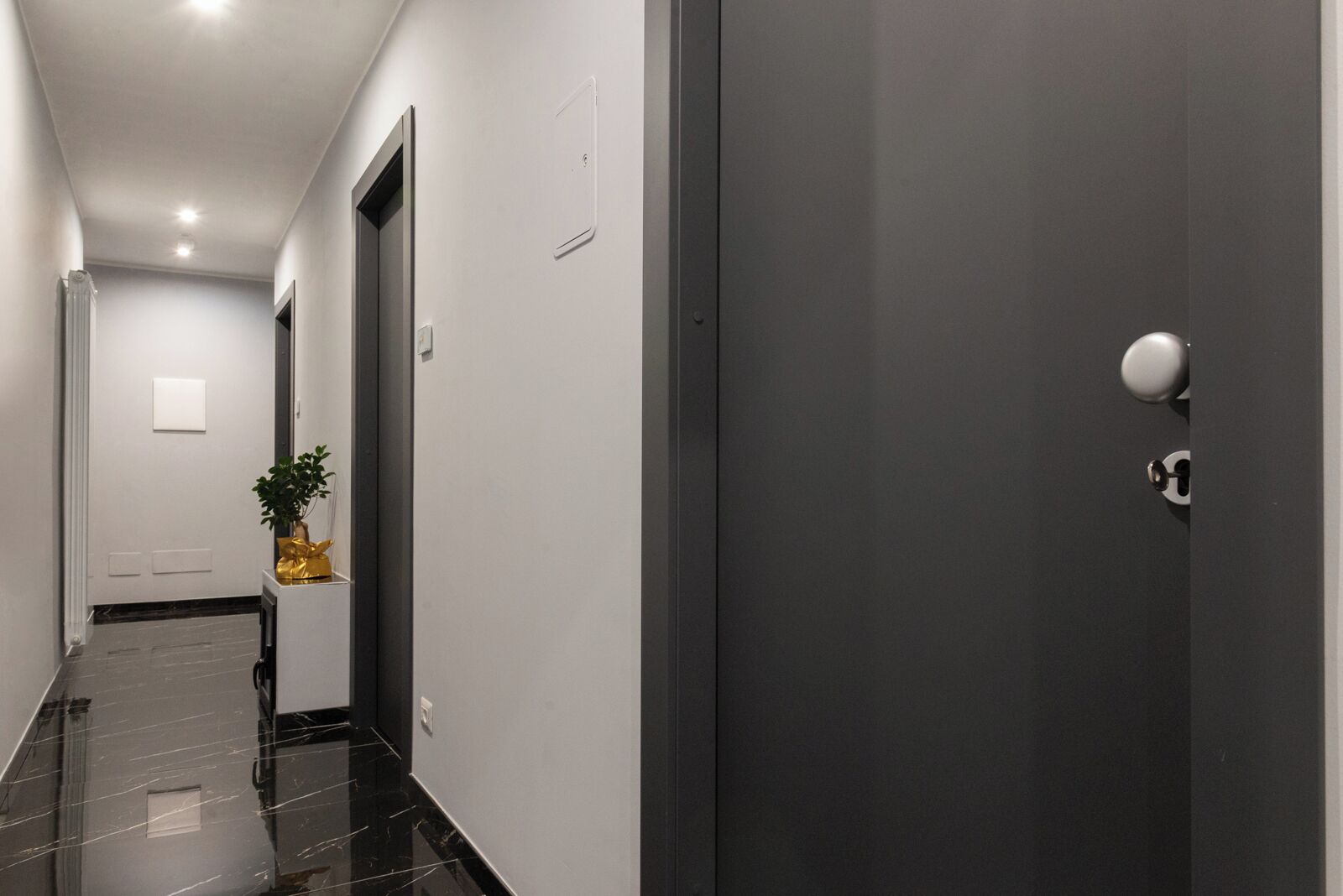 A modern hallway with a dark grey door, a white wall with a light switch, and a small potted plant on a white pedestal.