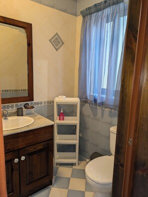 Un bagno con lavandino bianco, uno specchio, un water e una tenda per la doccia.