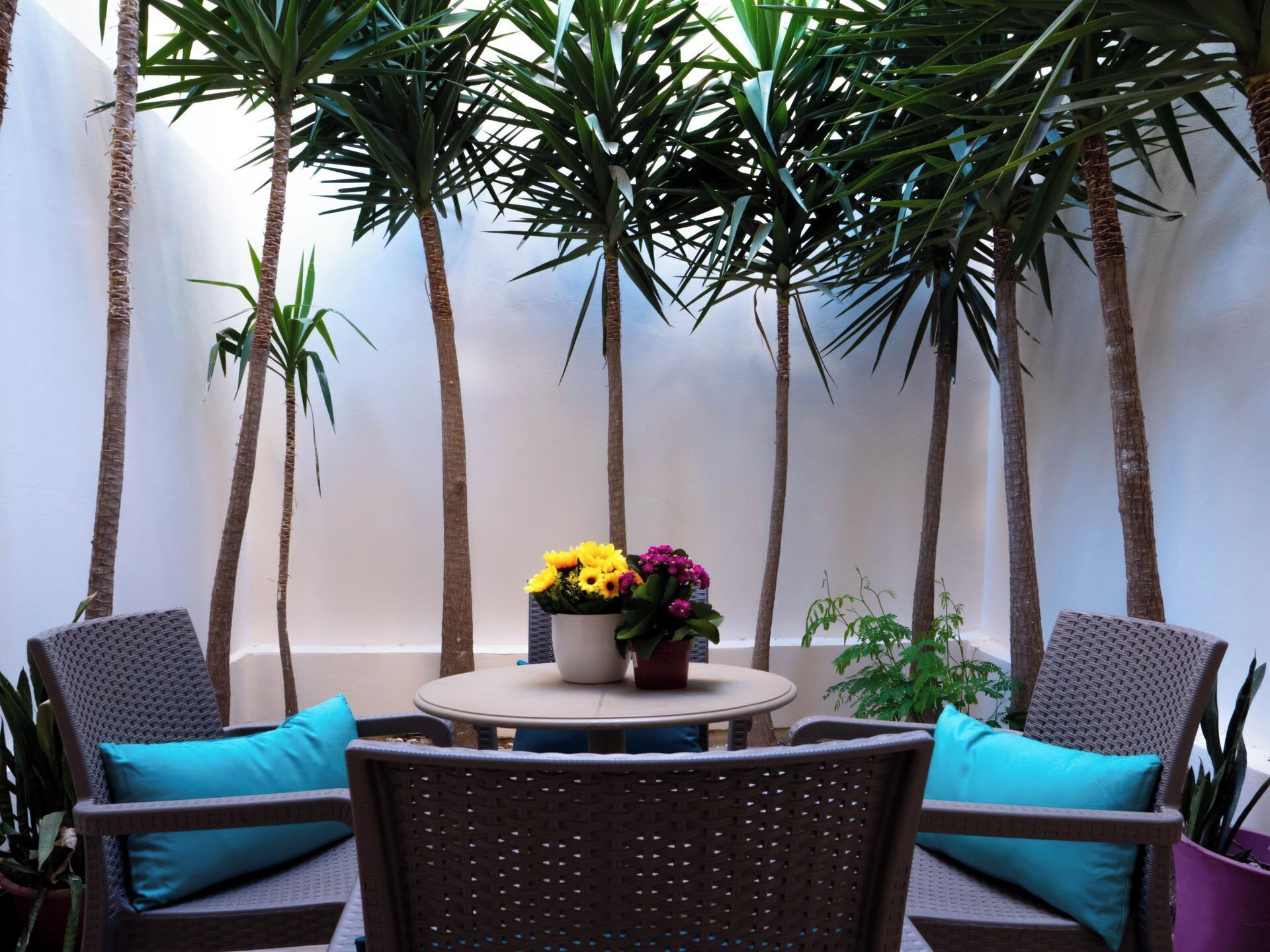 A round table with two wicker chairs, each with a teal cushion, surrounded by tall palm trees and a potted plant with yellow and pink flowers.
