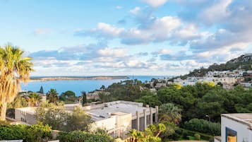 Villa (6 Bedrooms) | Piscina