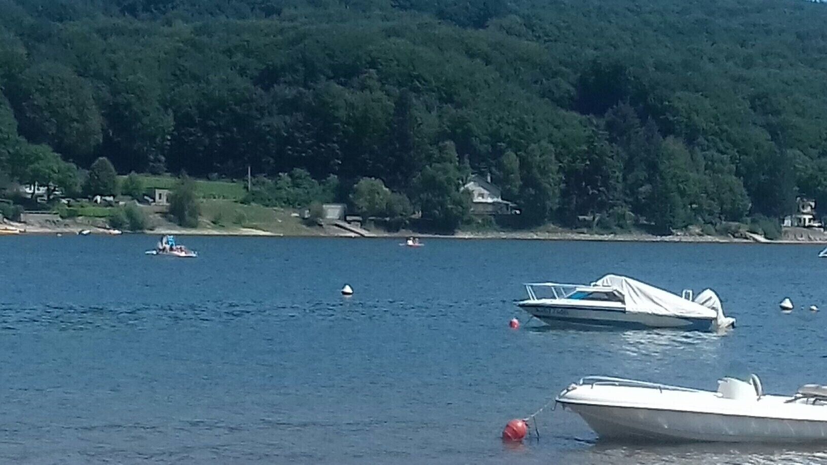 Ein See mit Booten und bewaldeter Uferlinie.