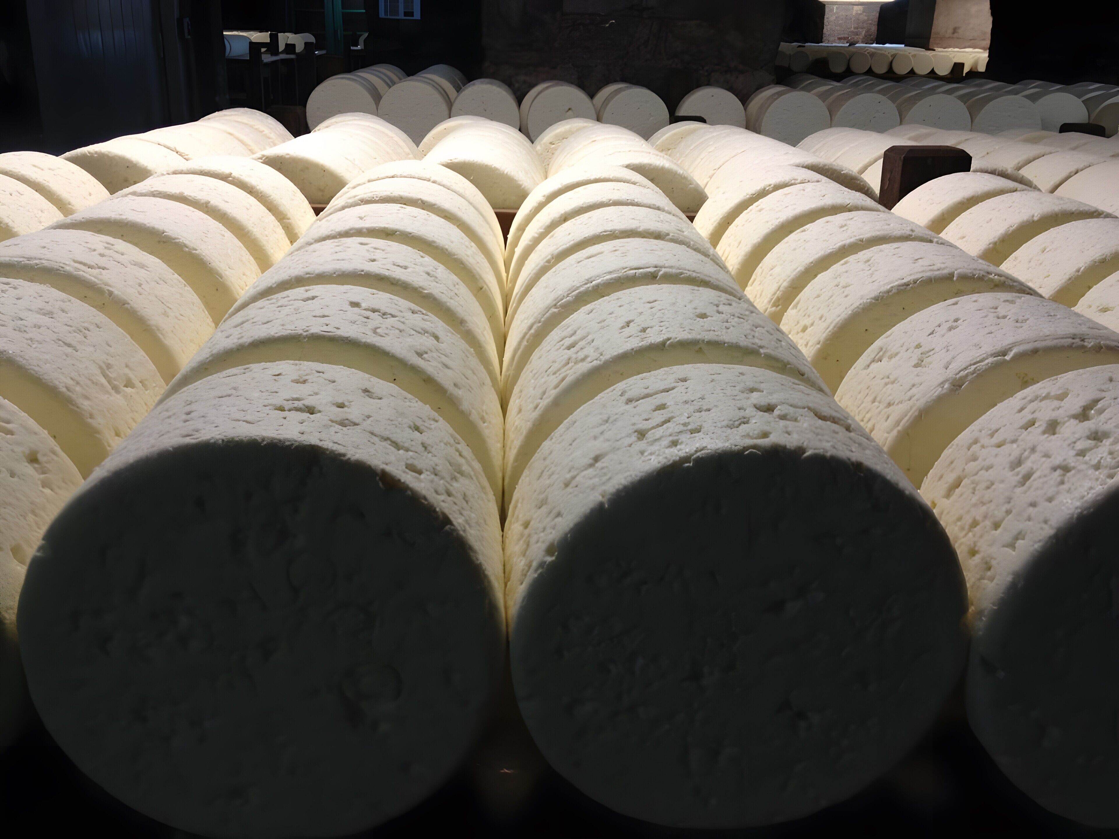 Large cylindrical objects arranged in rows.