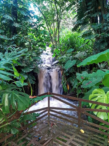 TopSpot® con los más Increíbles Jardines Botánicos