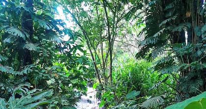 TopSpotÂź con los mĂĄs IncreĂbles Jardines BotĂĄnicos