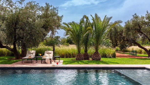 A swimming pool with lounge chairs and a bench, surrounded by trees and greenery. - Nyssa, swimming pool, pétanque, garden & staff (Marrakech)