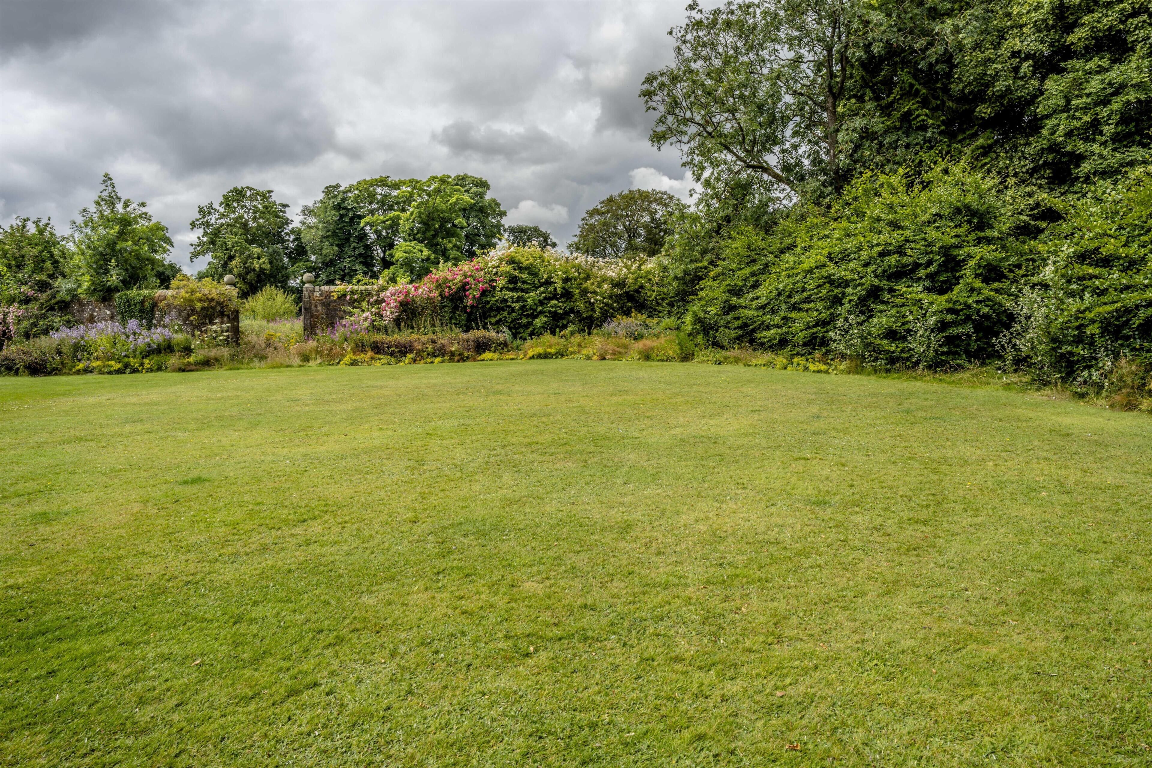 A grassy field with trees and a stone wall in the background.
