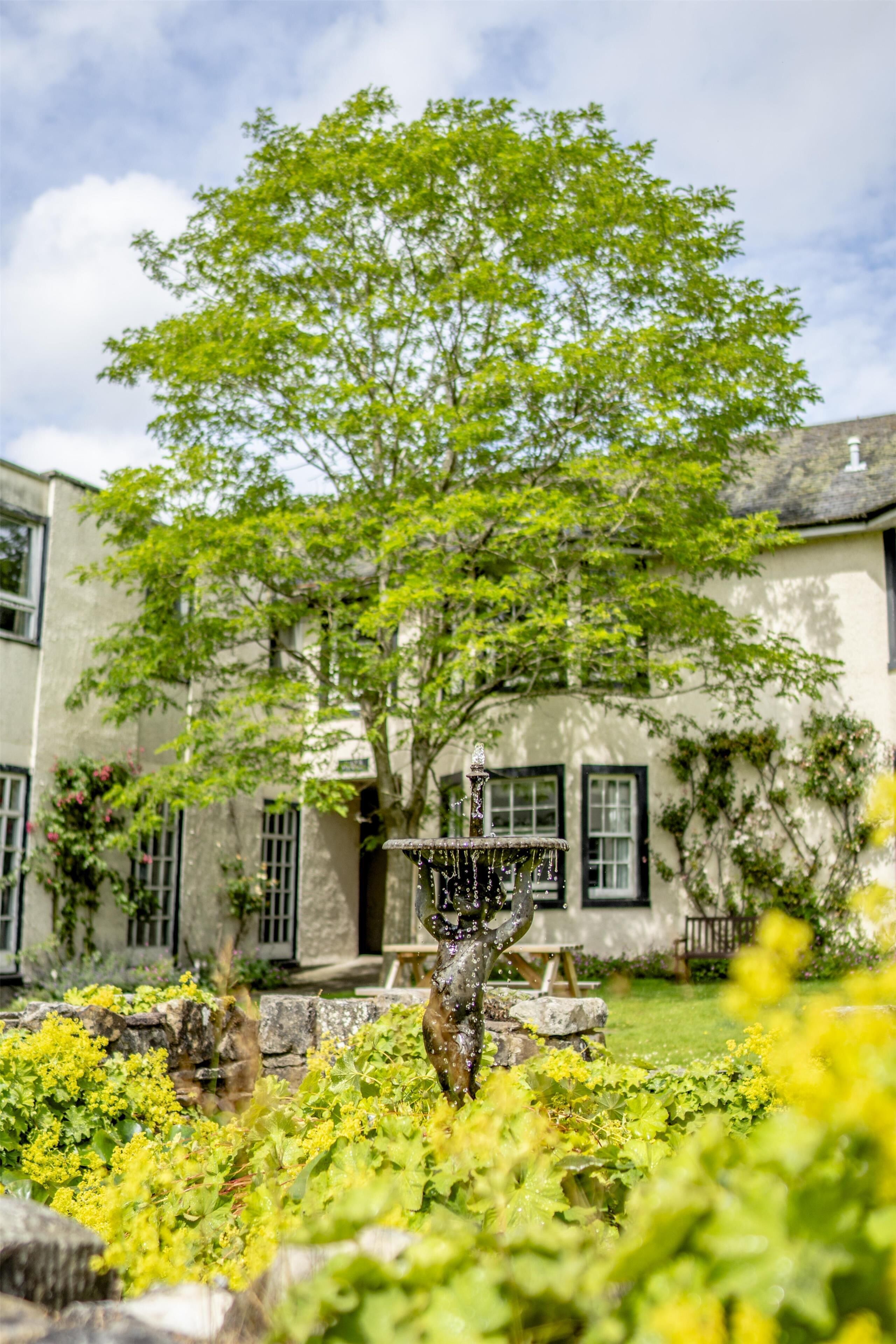 A building with a large tree in front, stone walls, and a clear sky.