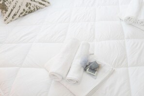 Miscellaneous - Minimal e funzionale vicino al Vaticano (Rome)