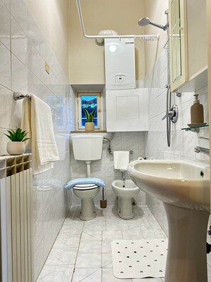 Dutxa, assecador de cabells, bidet i tovalloles 