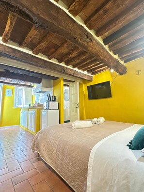 1 bedroom, iron/ironing board, WiFi, bed sheets - Cozy studio apartment in the center of Lucca (Lucca)