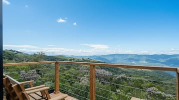 Basic Chalet | Property grounds