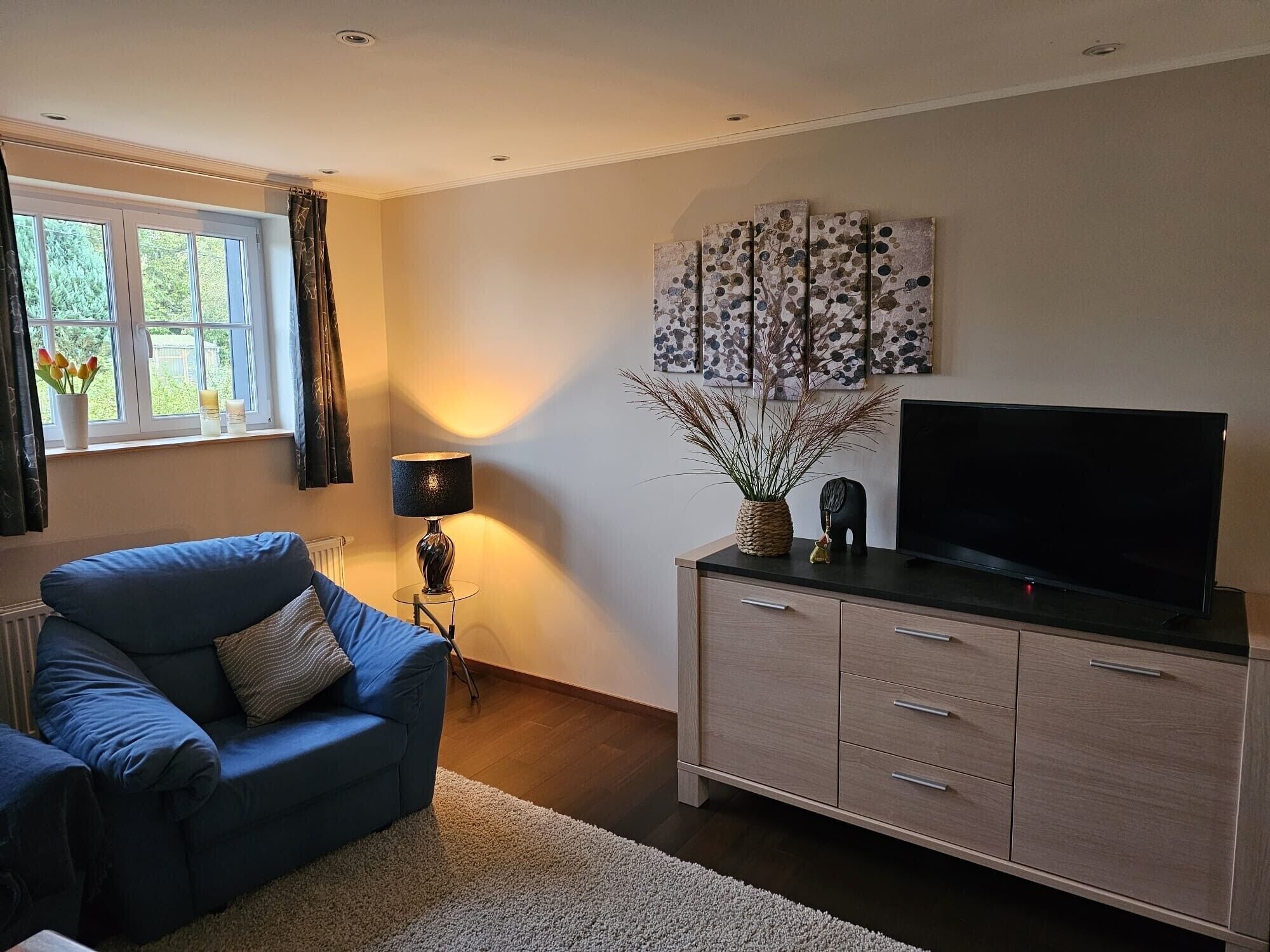 TV, fireplace