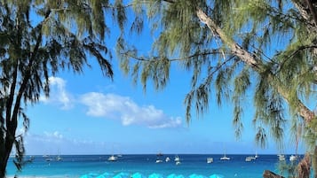 Serviettes de plage