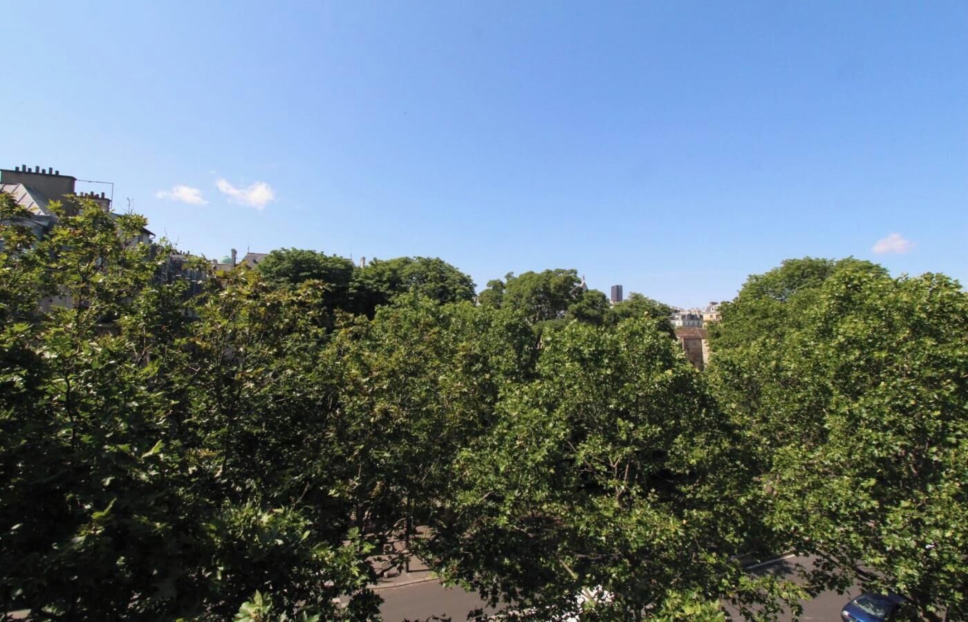 Vista d'un carrer amb arbres i edificis.