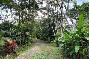 Property grounds - Complete vacation house, Mirador, Costa Rica (Mirador)