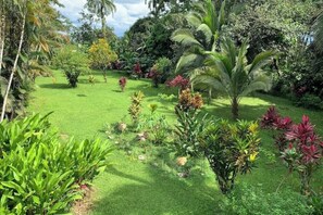 Property grounds - Complete vacation house, Mirador, Costa Rica (Mirador)