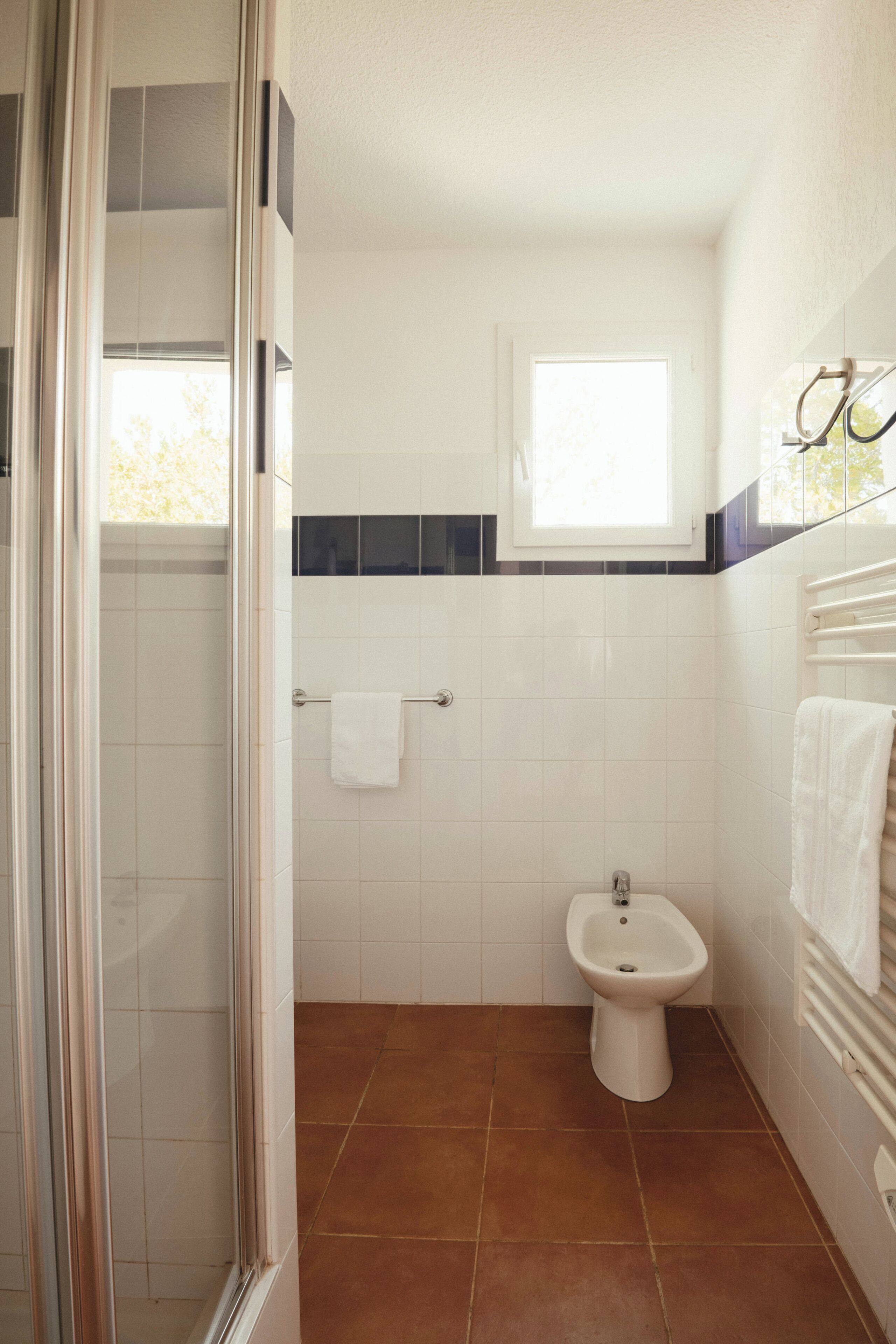 A bathroom with a shower, a bidet, and a window.