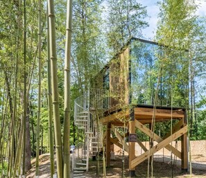 Property grounds - Brand New Mirror House | Sauna | Hot Tub | Stargazing (Sevierville)
