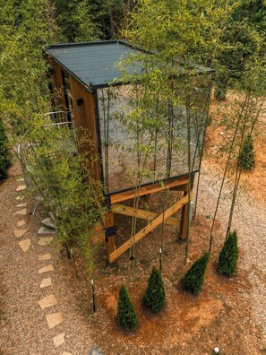 A wooden structure with a sloped roof, surrounded by bamboo plants and small coniferous trees. - Brand New Mirror House | Sauna | Hot Tub | Stargazing (Sevierville)
