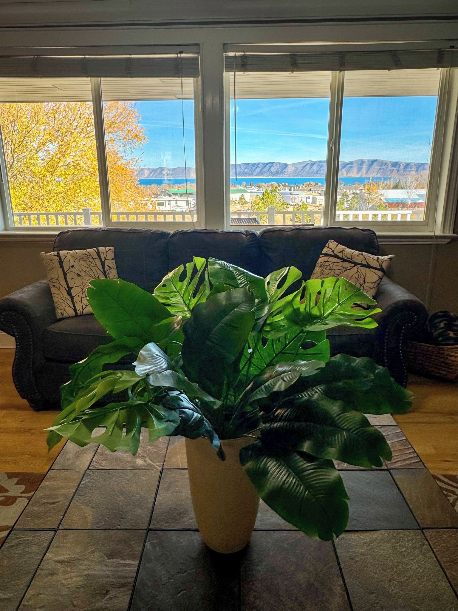 A living room with a large potted plant in the center, a dark-colored sofa with patterned cushions, and a view of a mountainous landscape through large windows.
