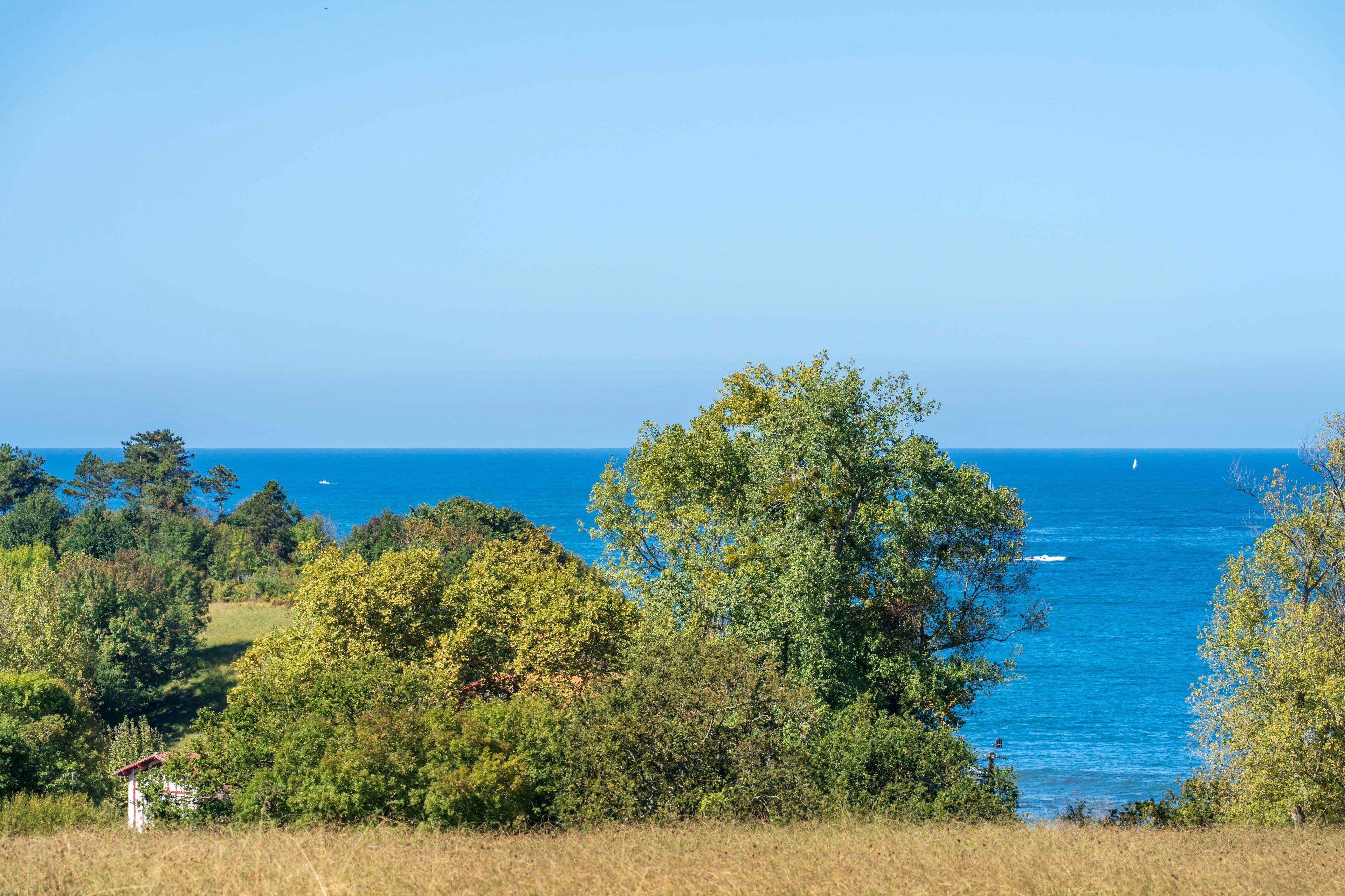 Paisaje costero con abundante vegetación y una vista despejada del mar.