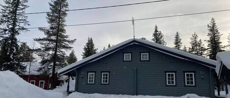 Ulkopuoli