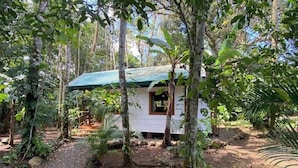 A small, single-story cabin with a green roof, surrounded by dense forest. - Monkey House (Mirador)