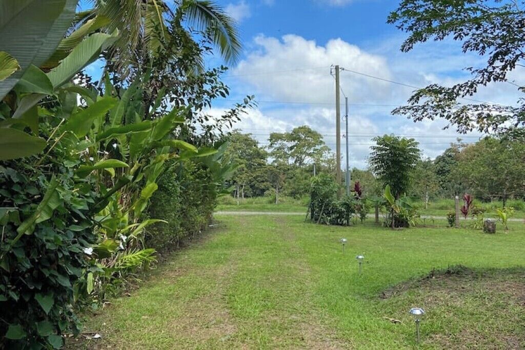 Une zone herbeuse avec des arbres et un ciel dégagé.