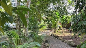 A garden pathway with rocks and various green plants. - Monkey House (Mirador)