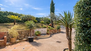 Ein gepflasterter Patio-Bereich mit Topfpflanzen und einer Steinmauer.