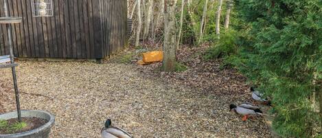 Enceinte de lâhĂ©bergement