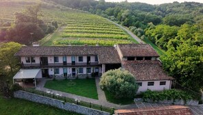 A large, two-story house with a tiled roof, surrounded by lush greenery and vineyards. - Tenuta Valdomini (Attimis)