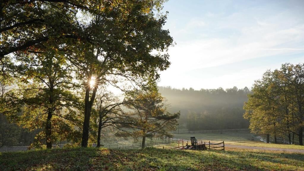 A serene outdoor scene with a wooden bench, trees, and a misty background.