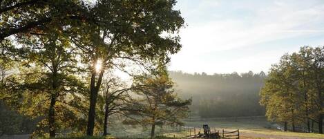 A serene outdoor scene with a wooden bench, trees, and a misty background.