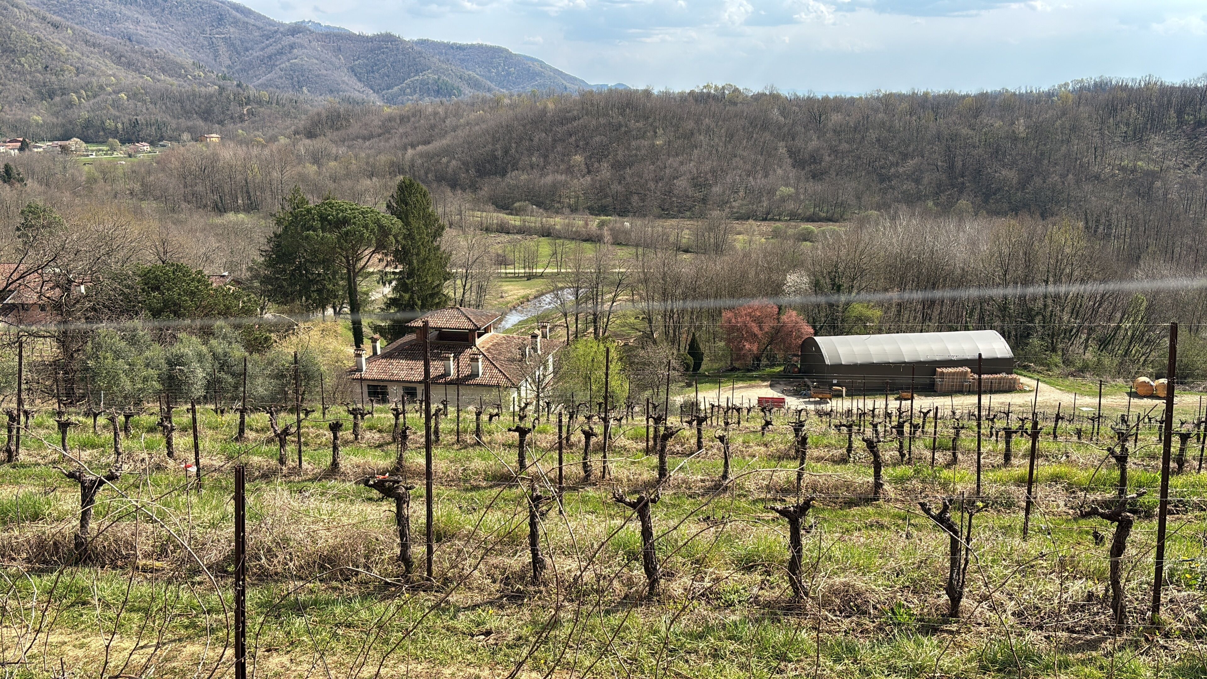 Un vignoble avec des rangées de vignes, un bâtiment avec un toit rouge et des montagnes en arrière-plan.