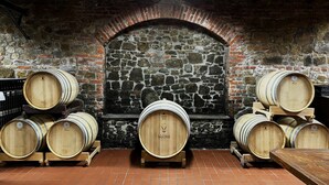 A cellar with wooden wine barrels stacked against a stone wall. - Tenuta Valdomini (Attimis)