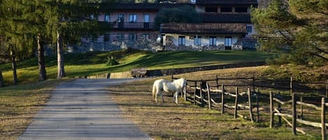 Esterni