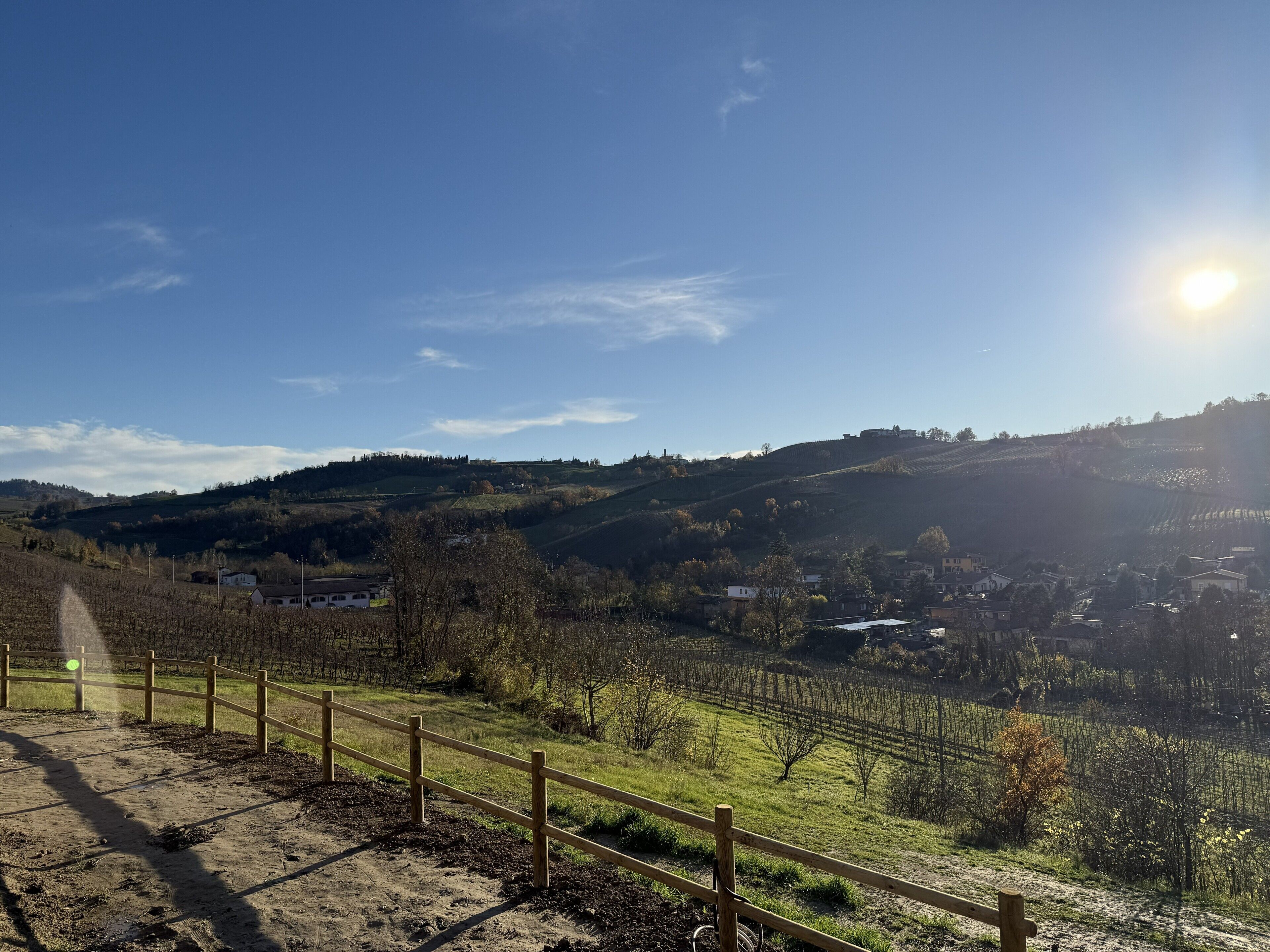 Un vigneto con una recinzione in legno, cielo sereno e una collina in lontananza.
