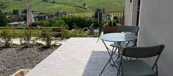 B&B NessunConfine CasaLaura with a magnificent view of the Oltrepò vineyards