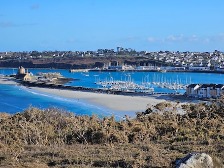 Beach nearby. Spacious Family Home Steps from the Beaches